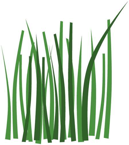 Gras