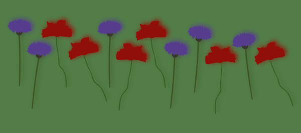 Kornblumen und Mohnblumen