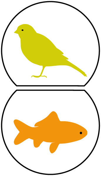 Small Pets